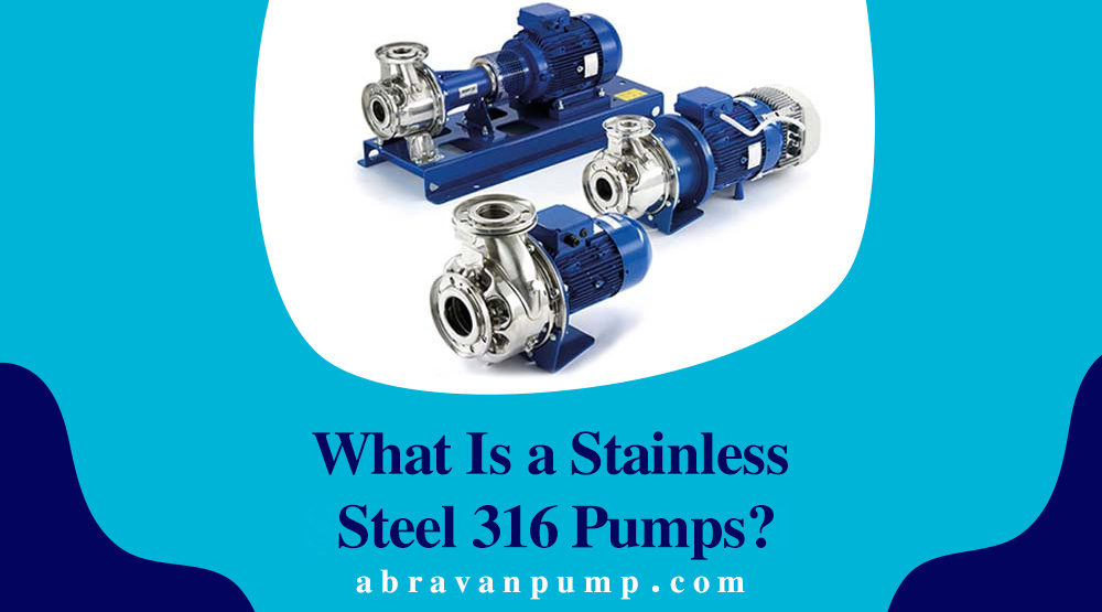 Stainless Steel 316 Pumps