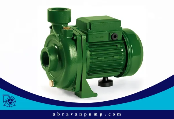 پمپ چدنی پمپی با بدنه چدن خاکستری یا داکتیل است که به‌دلیل قیمت مناسب و استحکام بالا کاربرد زیادی دارد.
