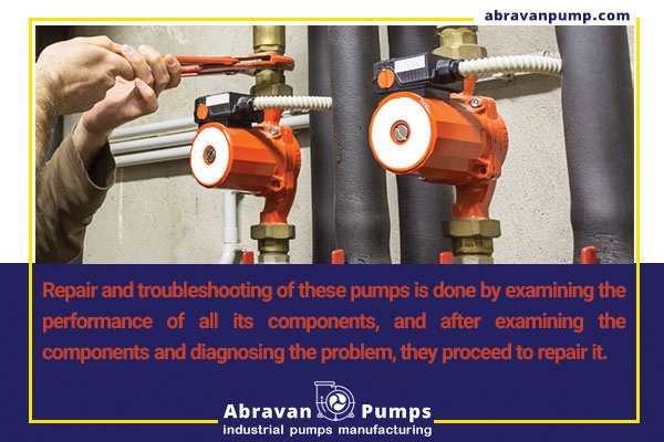What is a circulator pump? With all the points you need to know when shopping