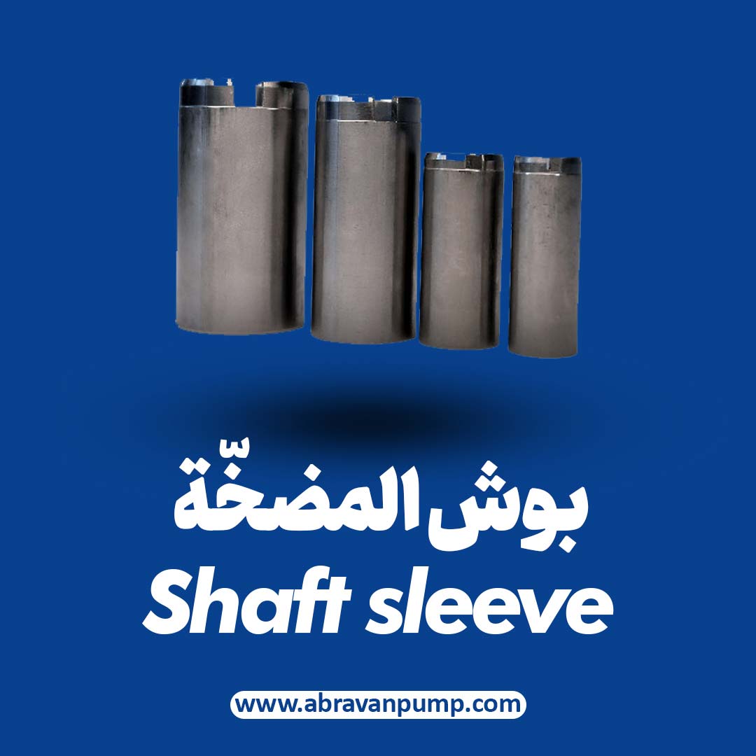 الصفحة الرئيسية