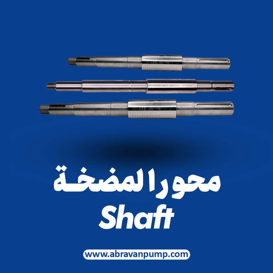 الصفحة الرئيسية