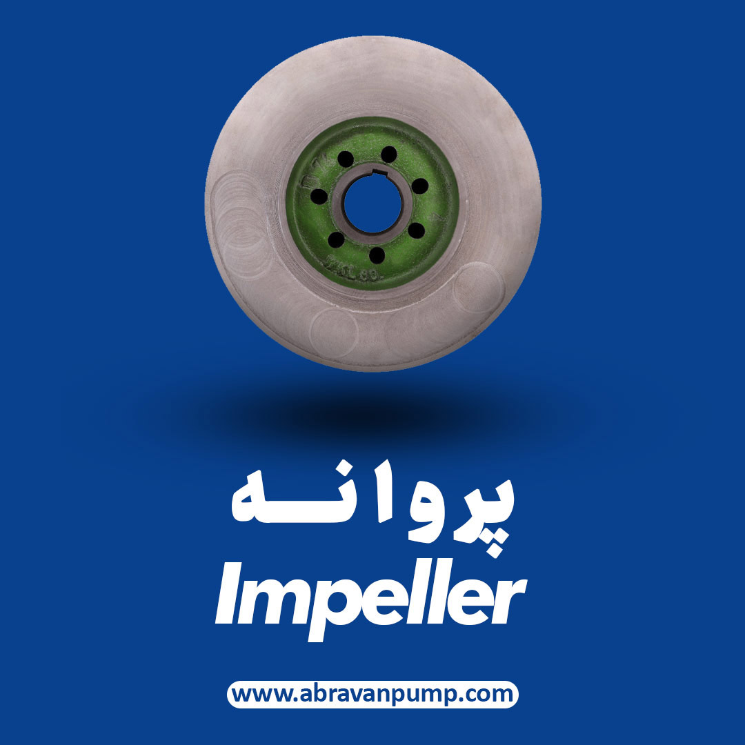 صفحه اصلی